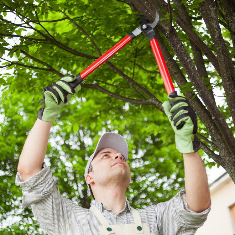 Electrical Services in North Carolina